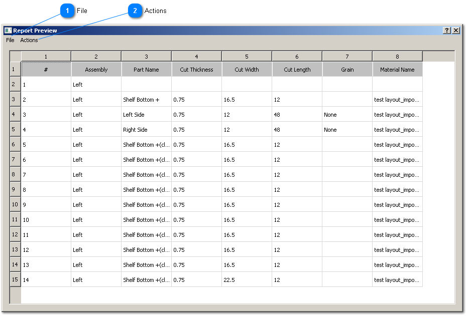 Report Preview window